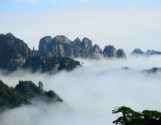fot. Sherry Xu / unsplash