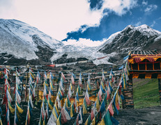 fot. Daniele Salutari / unsplash