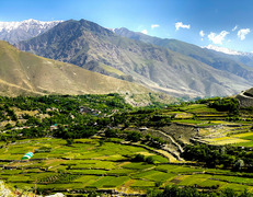 fot. Mohammad Rahmani, Unsplash