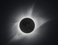 fot. Arnaud Mariat/unsplash