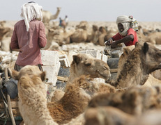 Danakil fot. Artur Urbański