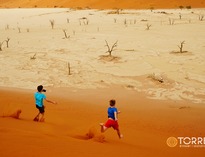 Dzika Namibia. Rodzinna przygoda w pustyni i w buszu