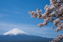 Japonia - Wabi Sabi